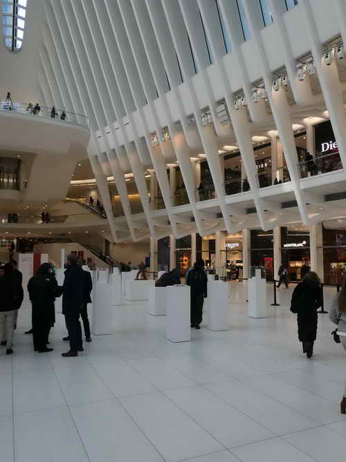 NYC_2020-01-29 13-33-42_P1080588